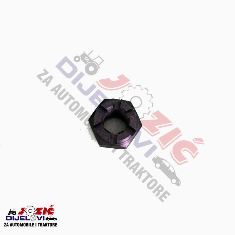 Daisy on the Ohoopee